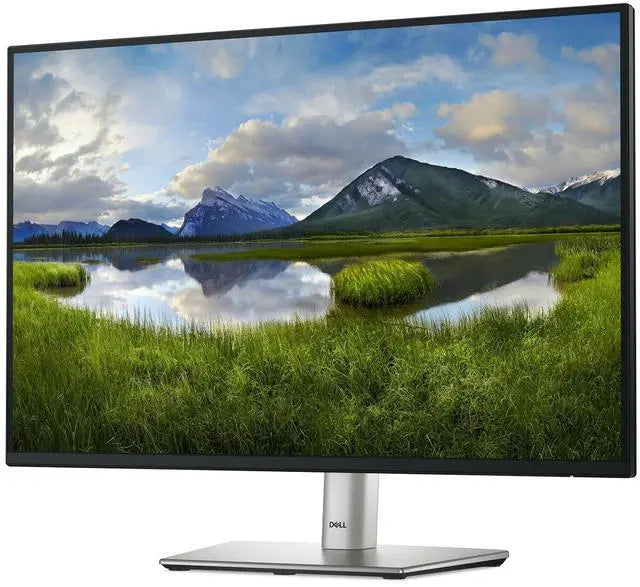 Dell P2425 24 inch Professional Monitor
